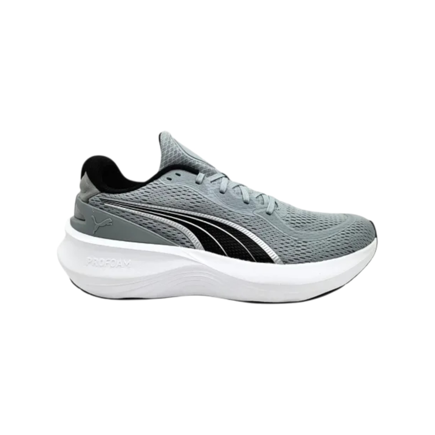 CHAMPION URBANO PUMA