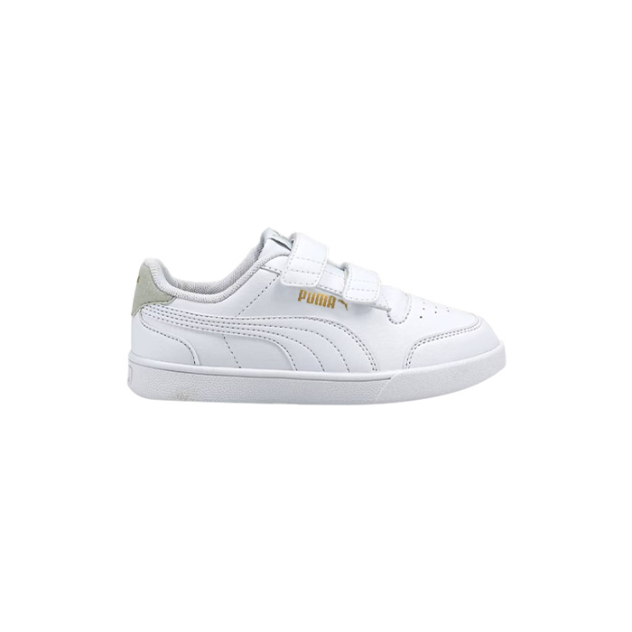 CHAMPION URBANO PUMA