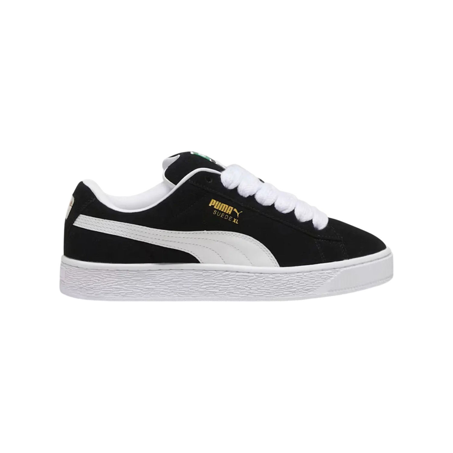 CHAMPION URBANO PUMA