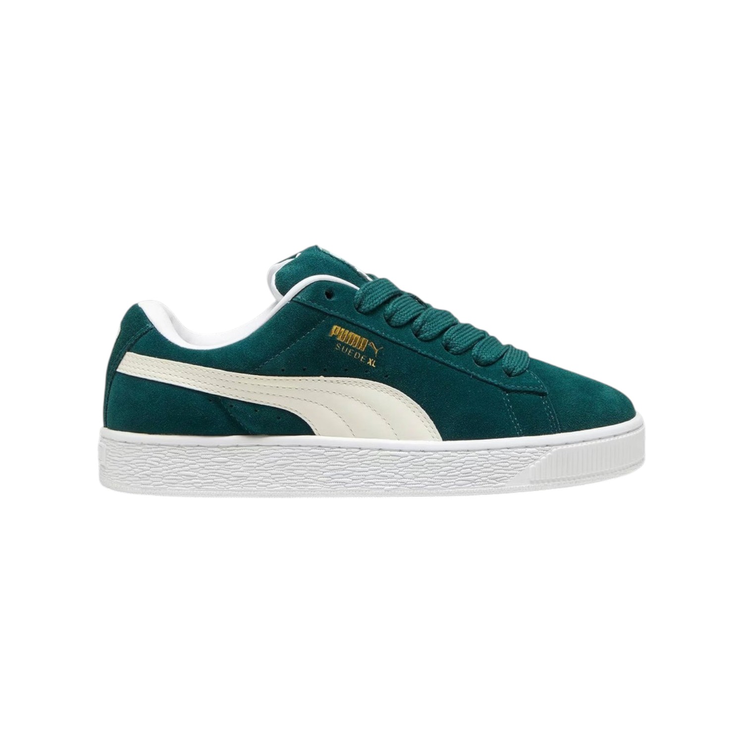 CHAMPION URBANO PUMA